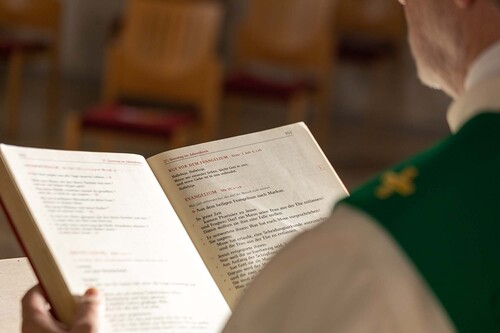 Stephan Schönlaub - Erzdiözese Wien